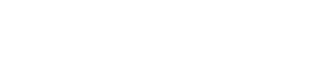 Servis Group