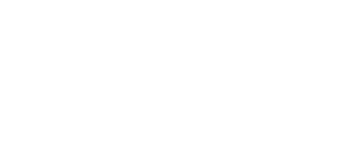 Servis Group
